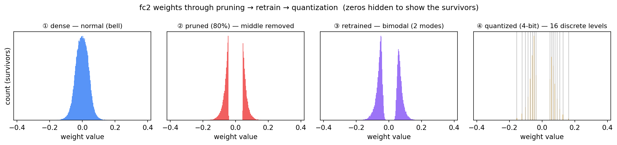 Weight distribution evolution: normal → pruning (middle removed) → retraining (bimodal) → quantization (discrete levels)